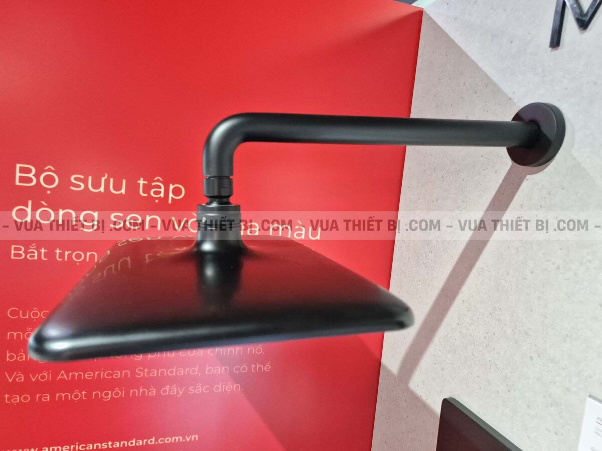 Bát sen âm tường AMERICAN STANDARD FFASS515MB Easyset - Ảnh 3