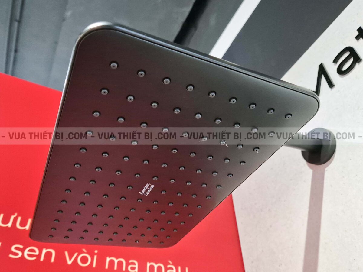 Bát sen âm tường AMERICAN STANDARD FFASS515MB Easyset - Ảnh 6