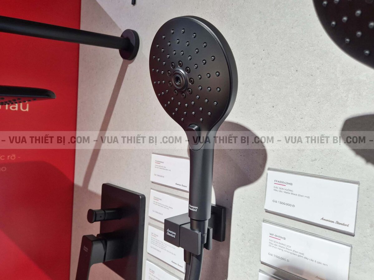 Cút nối sen âm tường AMERICAN STANDARD FFAS9143MB kèm gác sen - Ảnh 6