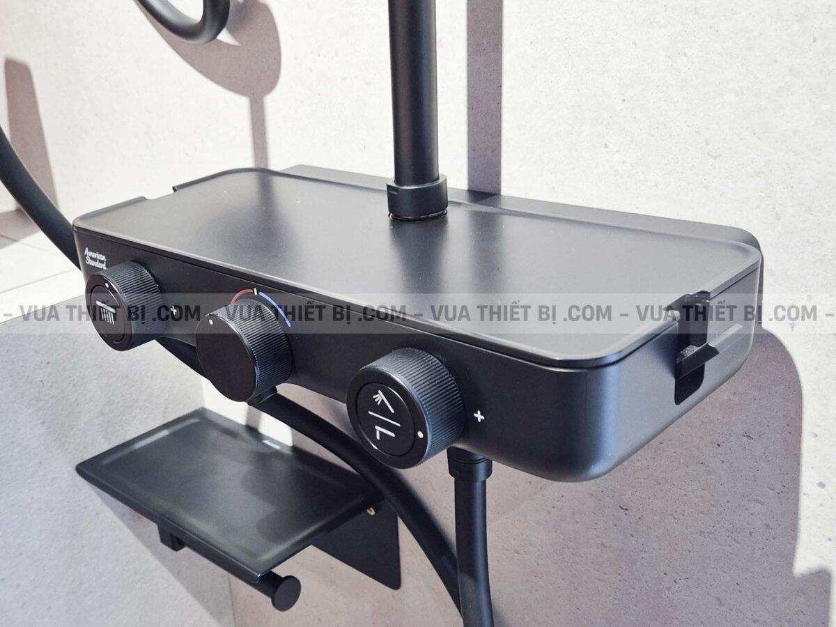 Vòi sen cây AMERICAN STANDARD WF-4956MB nhiêt độ - Ảnh 9