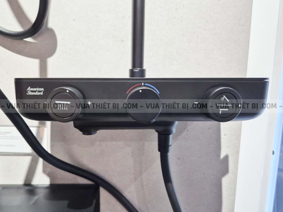 Vòi sen cây AMERICAN STANDARD WF-4956MB nhiêt độ - Ảnh 8