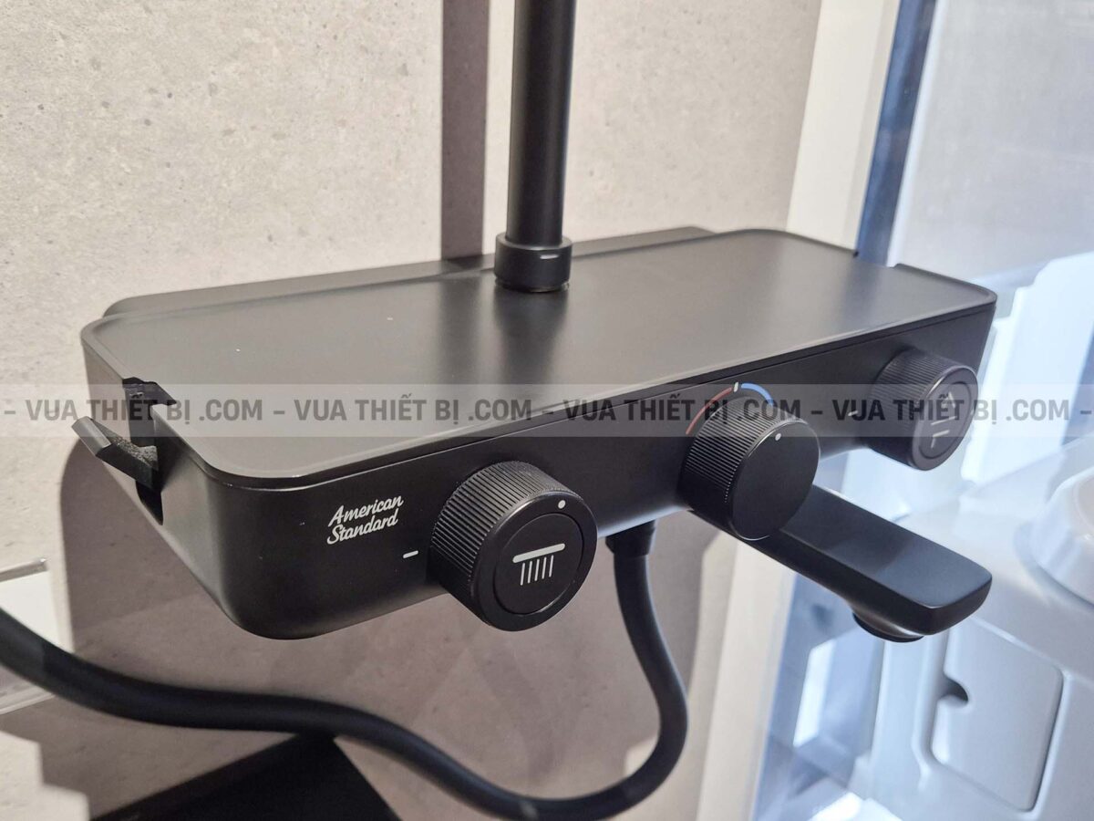 Vòi sen cây AMERICAN STANDARD WF-4956MB nhiêt độ - Ảnh 6
