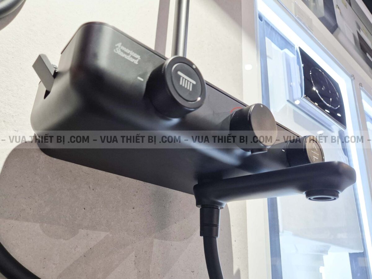 Vòi sen cây AMERICAN STANDARD WF-4956MB nhiêt độ - Ảnh 5