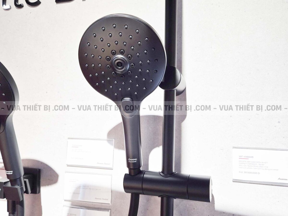 Vòi sen cây AMERICAN STANDARD WF-4956MB nhiêt độ - Ảnh 15