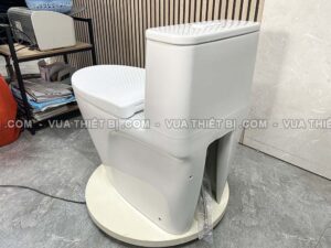 Hinh anh thuc te Bon cau 1 khoi INAX AC 989VN AC989VN nap em 5