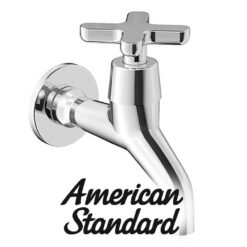 Vòi nước gắn tường American Standard