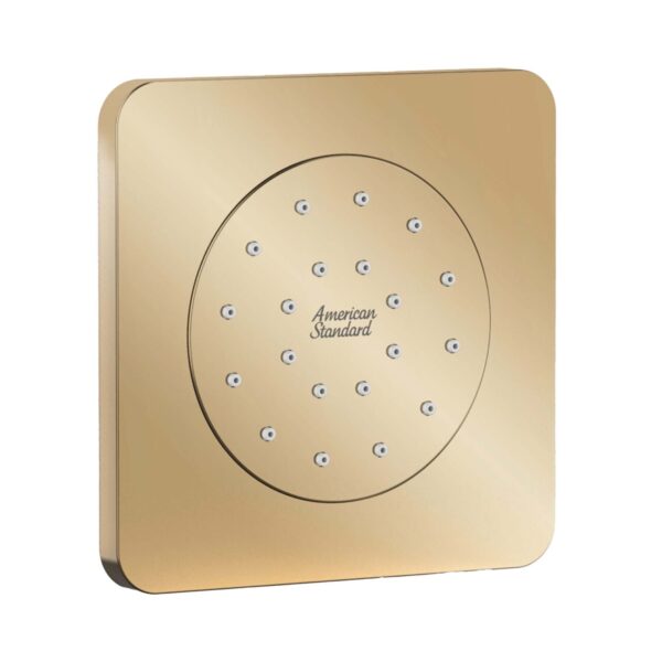 Vòi sen âm tường AMERICAN STANDARD FFASS054CS