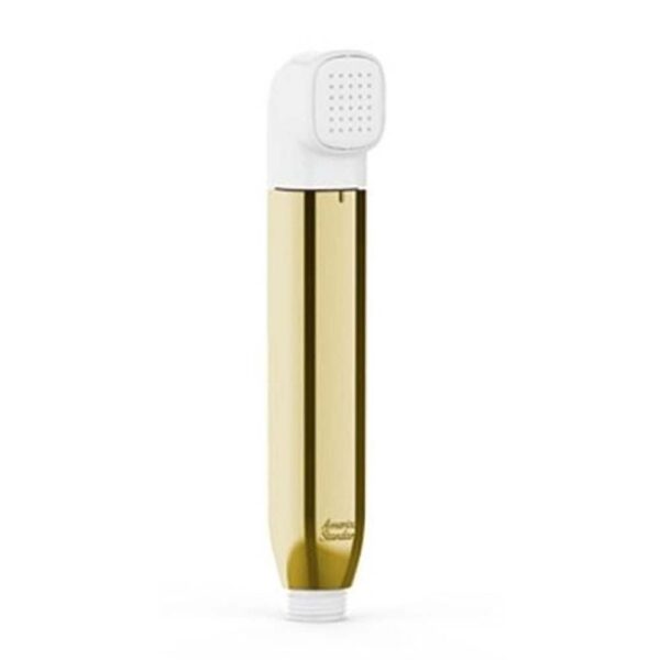 Vòi xịt vệ sinh AMERICAN STANDARD WF-TS28CS DuoSTiX