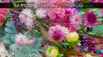 Tivi Casper 75US8000 75 inch 4K LED Android - Ảnh 6