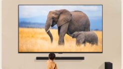 Tivi LG 98QNED89TSA 98 inch 4K QNED Smart10