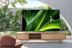 Tivi TCL 43P735 43 inch 4K Google05