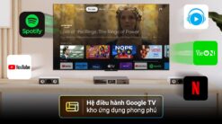 Tivi TCL 43P79B 43 inch 4K Google13