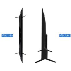 Tivi TCL 50P737 50 inch 4K LED Google 6