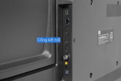 Tivi TCL 65P635 65 inch 4K LED Google 5
