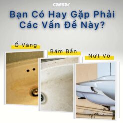 Chau lavabo ban am CAESAR LF530104