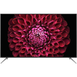 Tivi Sharp 4T-C50DL1X 4K UHD 50 inch Android