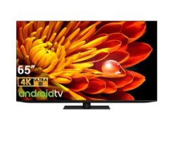 Tivi Sharp 4T-C65FV1X XLED 4K 65 inch Google