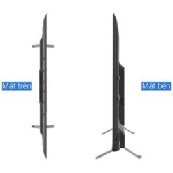 Tivi Toshiba 55C350LP 55 inch 4K LED Google 8
