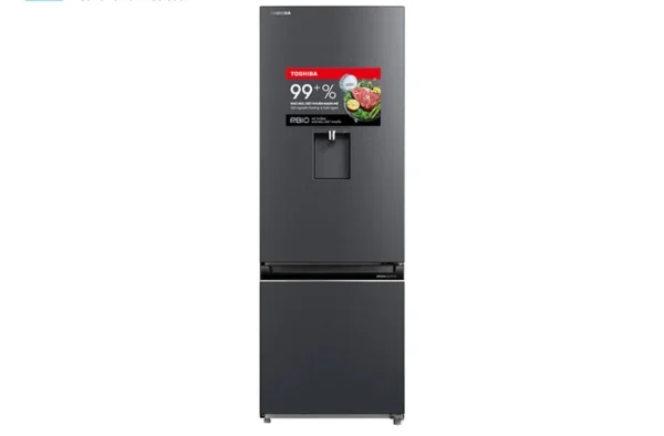 Tủ Lạnh Toshiba GR-RB405WEA-PMV(06)-MG Inverter 321 Lít