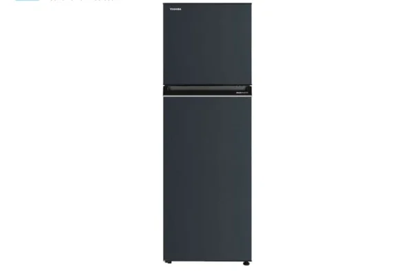 Tủ lạnh Toshiba GR-RT329WE-PMV(52) Inverter 253 Lít