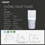 Bản vẽ kĩ thuật Bồn cầu 1 khối CAESAR CD1391 nắp êm M223