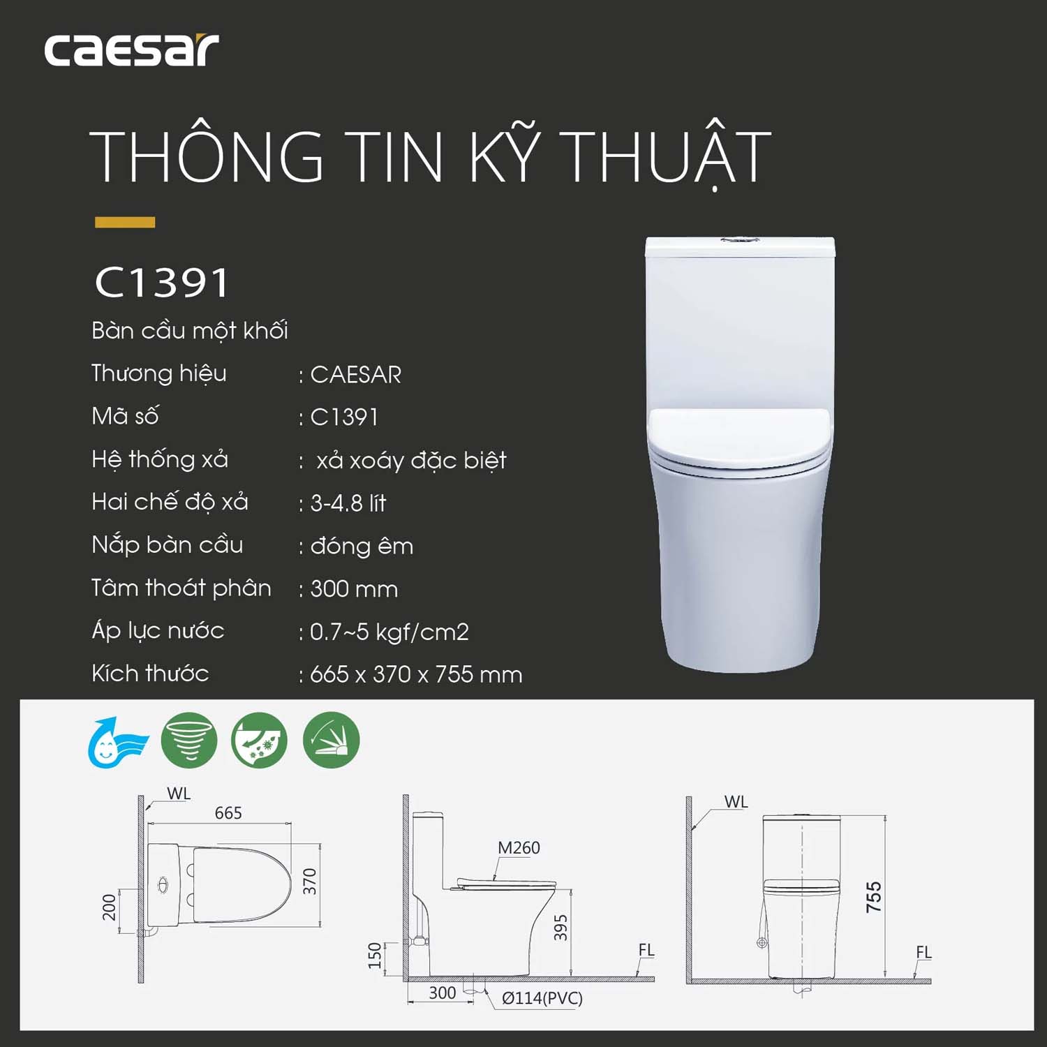 Bản vẽ kĩ thuật Bồn cầu 1 khối CAESAR CD1391 nắp êm M223