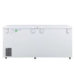 Tủ Đông Alaska HB-890CI Inverter 1 Ngăn 2 Cánh 588 Lít