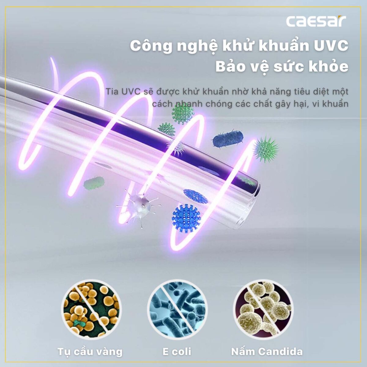 Bồn cầu thông minh CAESAR CT1338 TAF512H nắp rửa điện tử - Ảnh 17