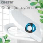 Nắp bồn cầu CAESAR M244 rơi êm - Ảnh 6