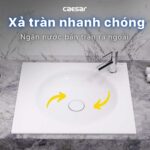 Chậu lavabo đặt bàn CAESAR LF5038 - Ảnh 11