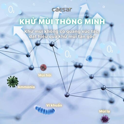 tinh nang Nap bon cau thong minh CAESAR TAF710H 12