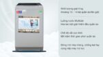 Máy giặt Aqua AQW-S80CT 8kg - Ảnh 2