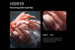 2 hdr 10 Tivi XIAOMI A 2025 32 43 50 55 65 75 inch