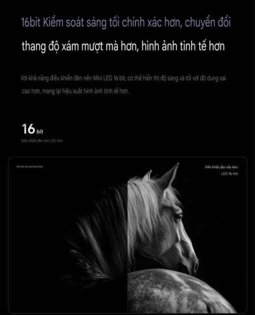 6 Lam mo Mini LED 16 bit Hien thi muot ma moi cap do sang tivi xiaomi S Pro 65 75 85 100 inch 2025