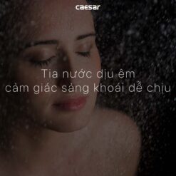 Tay sen tam CAESAR SH238 3 che do 7