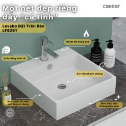 tinh nang Chau lavabo treo tuong CAESAR LF5261 PF2463 chan lung