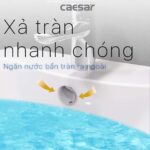 Chậu lavabo treo tường CAESAR LF5263 PF2463 chân lửng - Ảnh 8
