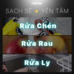 Vòi rửa bát CAESAR K035CV nước lạnh - Ảnh 5