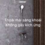 Vòi sen tắm CAESAR TS620 nhiệt độ - Ảnh 13