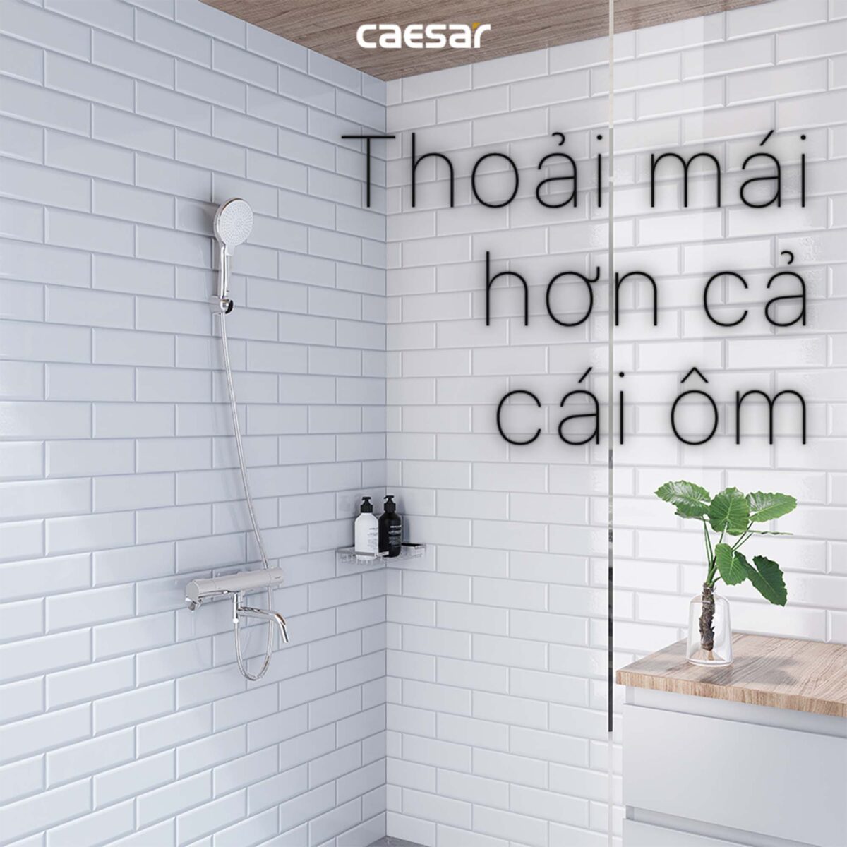 Vòi sen tắm CAESAR TS620 nhiệt độ - Ảnh 6