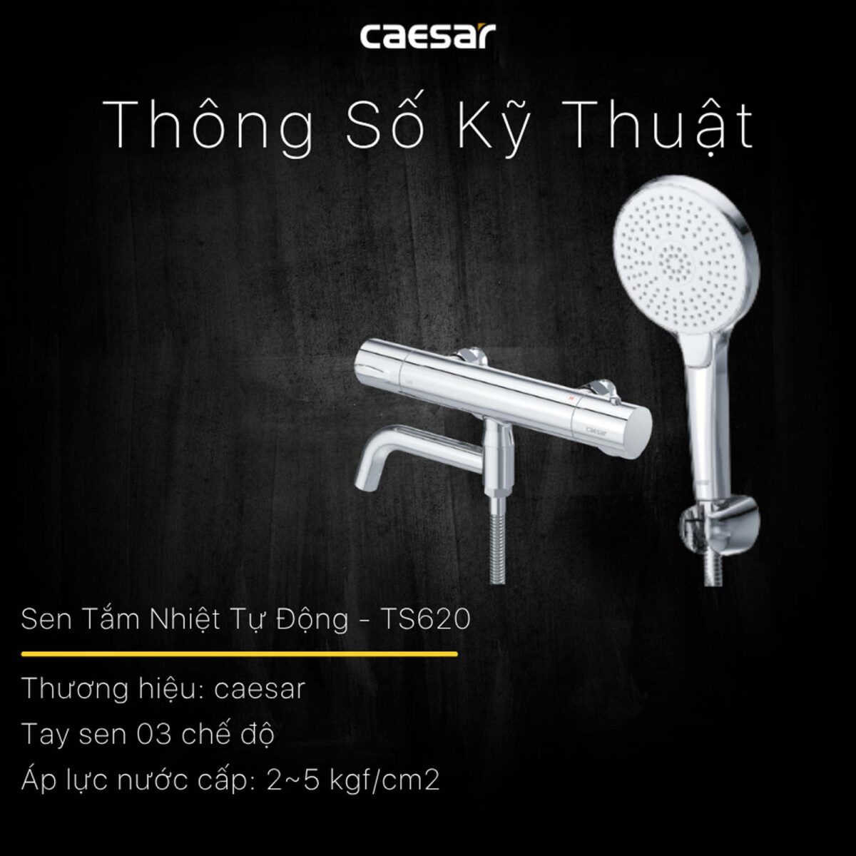 Vòi sen tắm CAESAR TS620 nhiệt độ - Ảnh 9