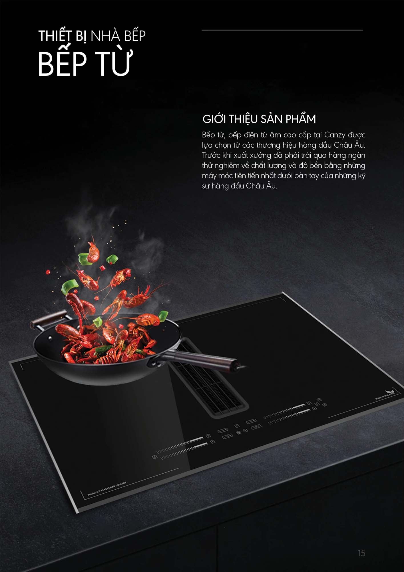Catalogue CANZY 2026 - Bảng giá thiết bị nhà bếp 10 Catalogue CANZY 2026 9