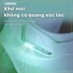 Bồn cầu thông minh CAESAR CD1342 TAF512H nắp rửa điện tử - Ảnh 20
