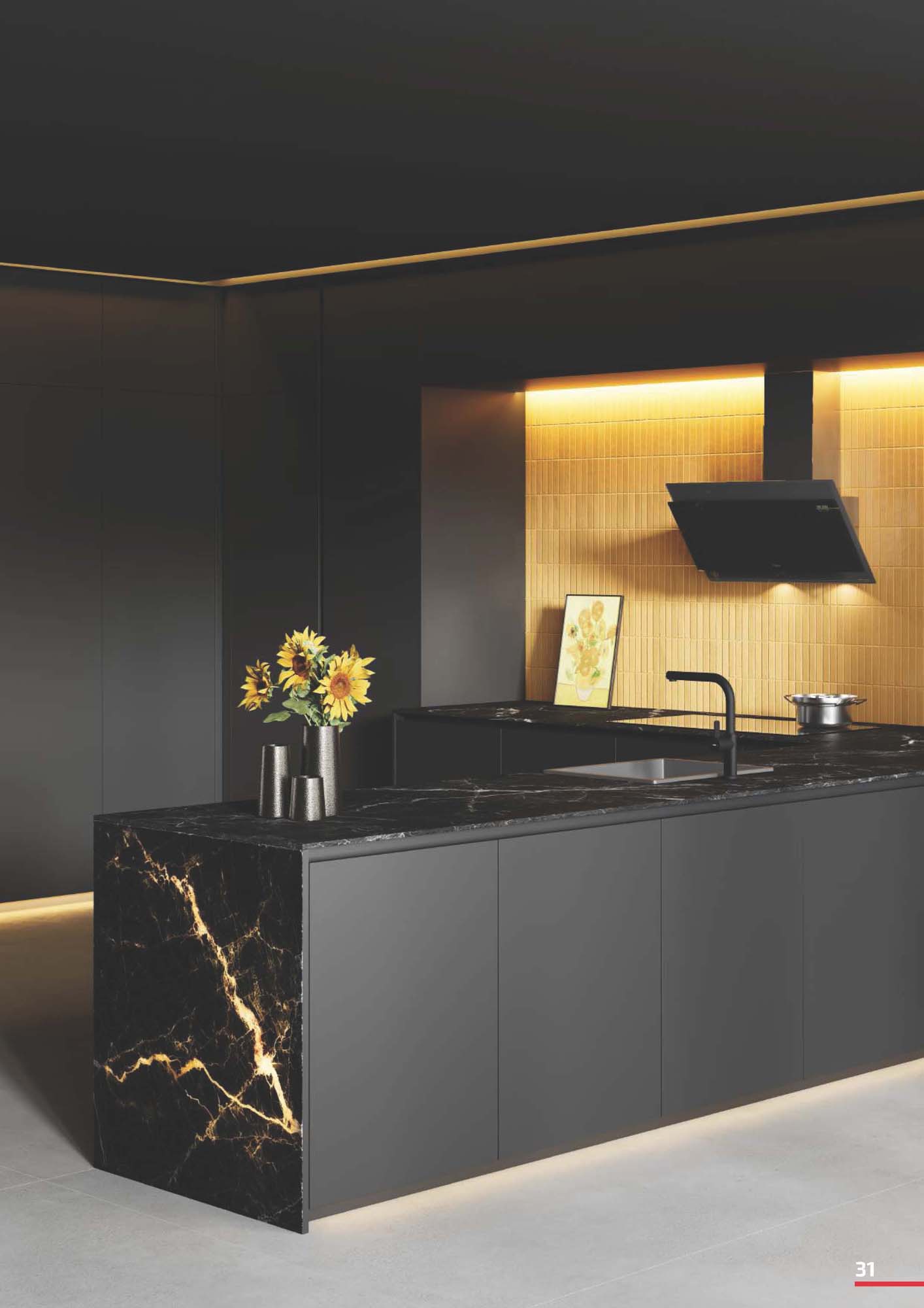 Catalogue TEKA 2026 - Bảng giá Thiết bị nhà bếp 32 VN TEKA CATOLOGUE 2026 Page 031