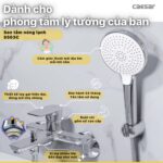 Vòi sen tắm CAESAR S503C nóng lạnh - Ảnh 4