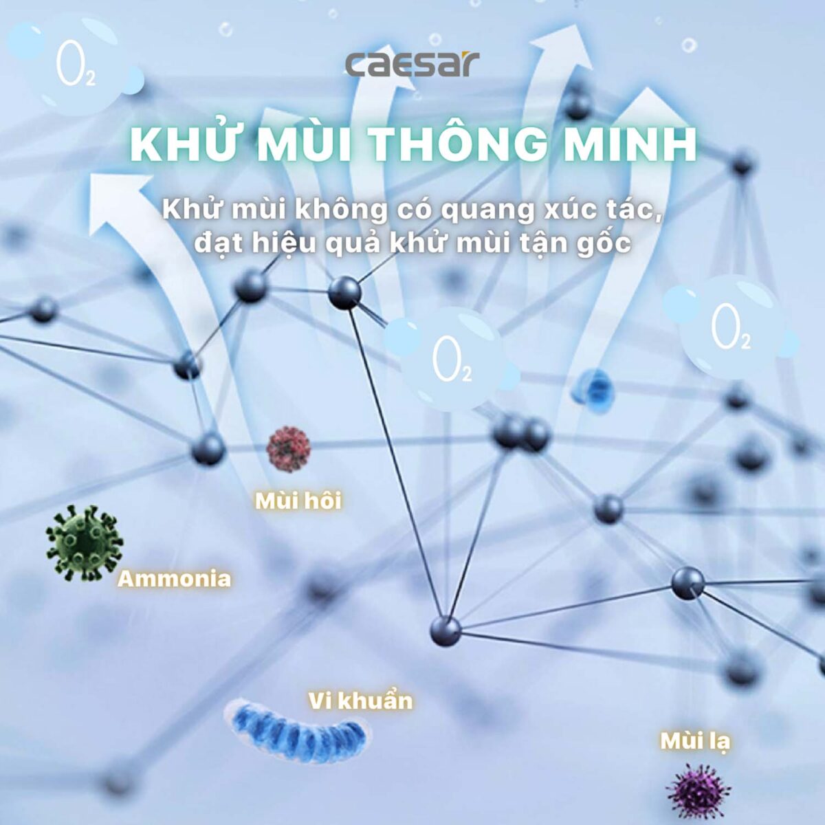 Bồn cầu thông minh CAESAR CD1342 TAF710H nắp rửa điện tử - Ảnh 18