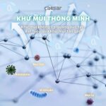 Bồn cầu thông minh CAESAR CD1342 TAF710H nắp rửa điện tử - Ảnh 18