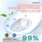 Bồn cầu thông minh CAESAR CD1342 TAF710H nắp rửa điện tử - Ảnh 12
