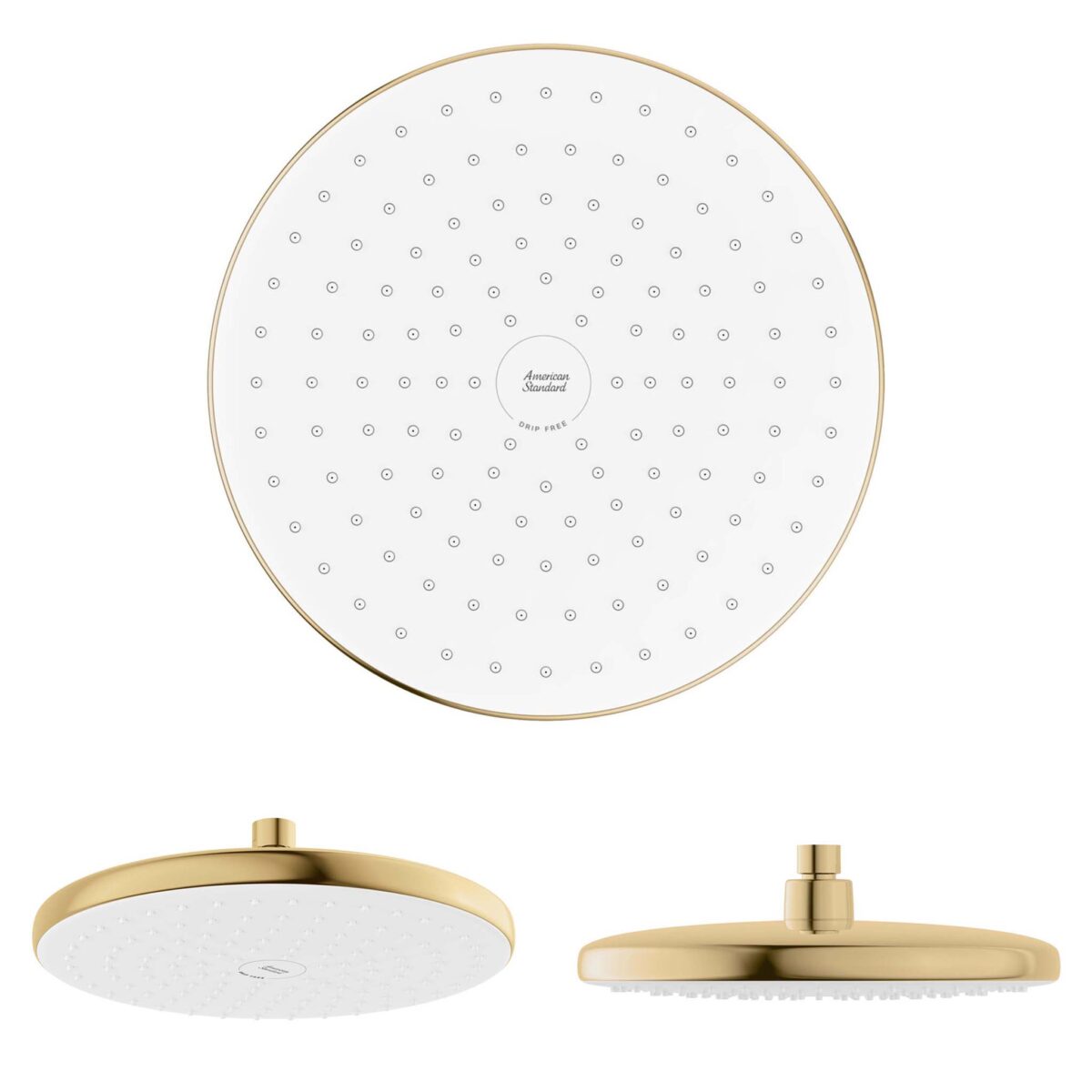 Bát sen âm tường AMERICAN STANDARD WF-5100MB WF-5100BHG WF-5100HG WF-5100CS WF-5100WS - Ảnh 4