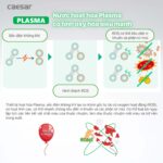Vòi rửa bát CAESAR KP1035SA cảm ứng rút dây diệt khuẩn Plasma - Ảnh 11